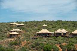 Sindile tented camp at Shamwari Private Game Reserve