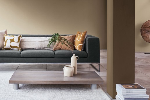 dulux colour of the year 2021 paint