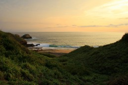 Our Habitas Mazunte Landscape