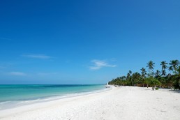 The Lux Collective Zanzibar Hotel Beach