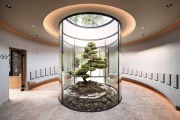 Hotel Lürzerhof wellness